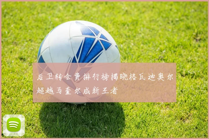 后卫转会费排行榜揭晓格瓦迪奥尔超越马奎尔成新王者